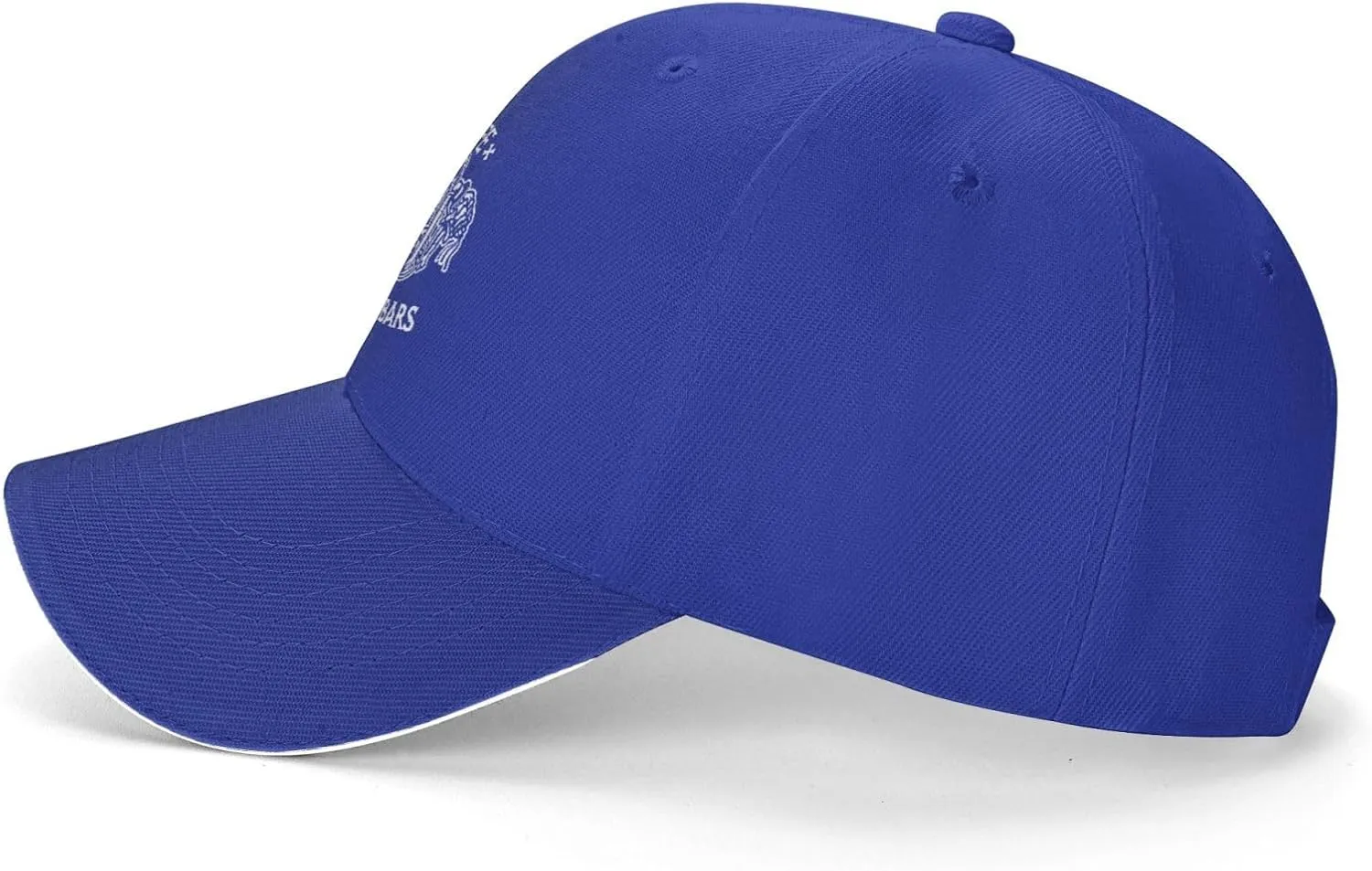 Life Behind Bars Motorcycle Biker Hat Mens Wide Brim Baseball Cap Adjustable Low Profile Sports Dad Hats