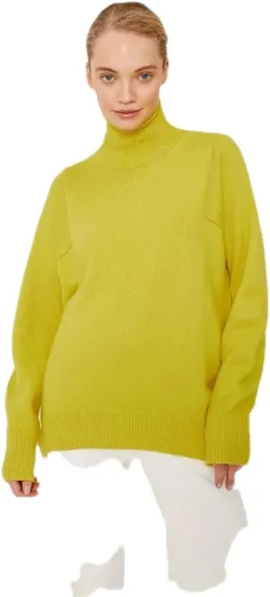 Women Basic Turtleneck Sweater Oversize Vintage Knit Pullover Autumn and Winter Basic Knitwear